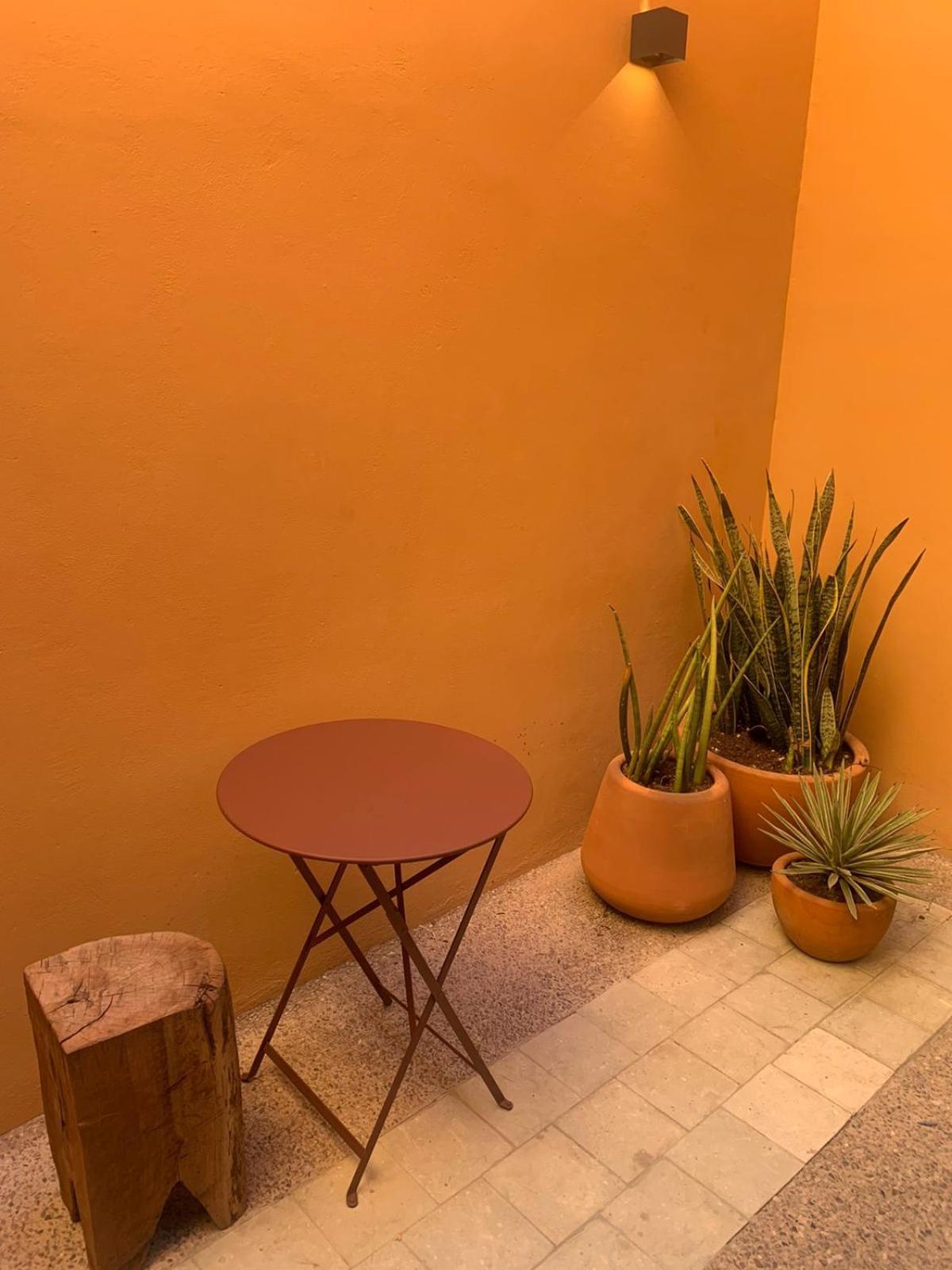 Macondo Arte 오아하카주 외부 사진